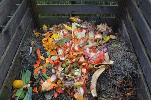 Kompost anlegen