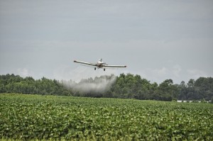 Wie wirken Pestizide