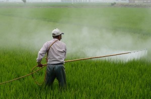 Pestizide Krankheiten