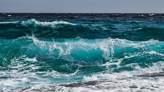 Contaminación de los mares y océanos - Neoblau